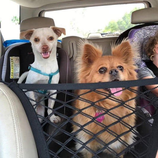 Dog Car Net
